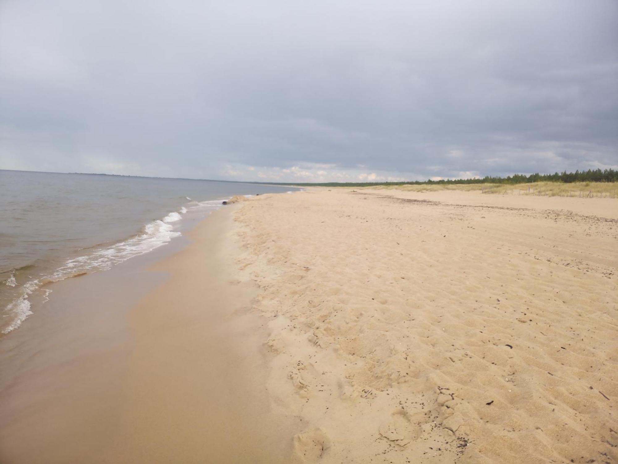 Pokoje Sobie Na Wyspie Gdansk Ngoại thất bức ảnh